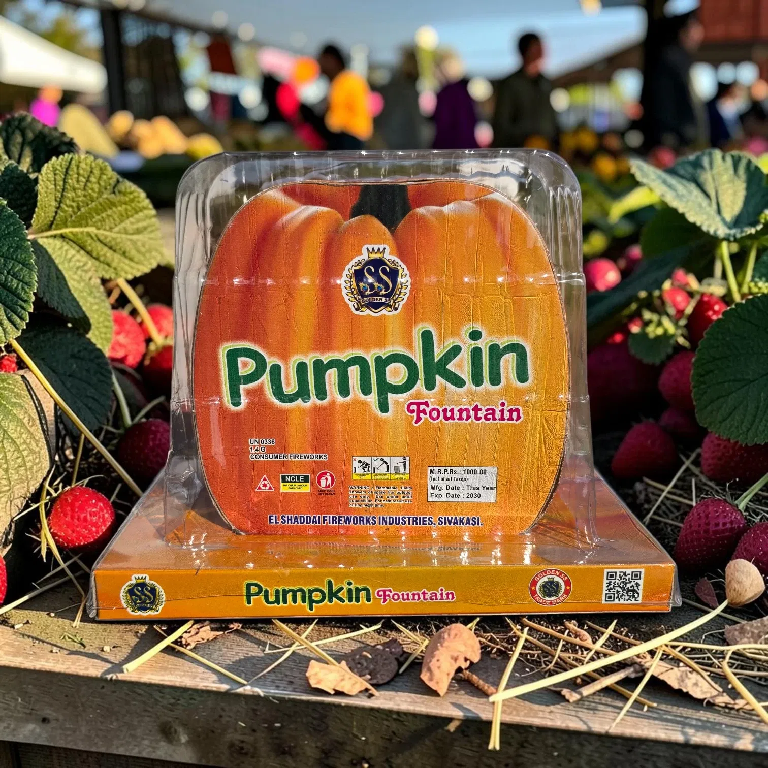 Pumpkin Fountain